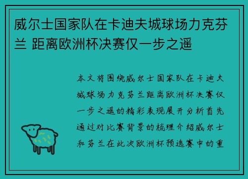 威尔士国家队在卡迪夫城球场力克芬兰 距离欧洲杯决赛仅一步之遥